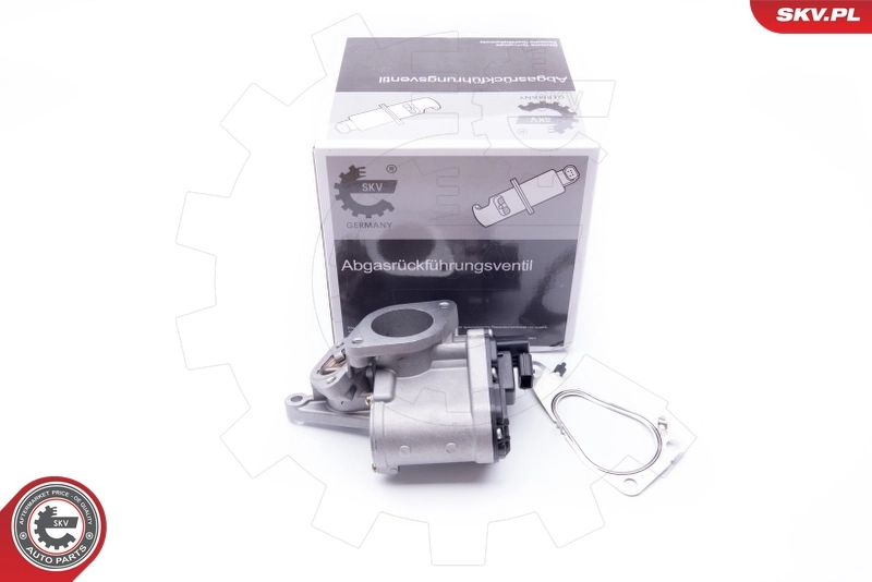 EGR Valve